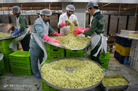 آماده سازی غذای متبرک در مهمانسرای جدید حرم رضوی
