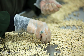 آماده سازی غذای متبرک در مهمانسرای جدید حرم رضوی
