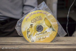 بازار خرید و فروش پرندگان تهران