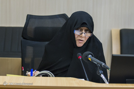 نشست علمی بررسی و تحلیل سند توسعه پایدار 2030