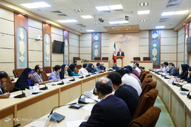 نشست خبری سخنگوی شورای نگهبان