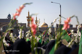 گلباران حرم امام رضا (ع) در روز تولد حضرت معصومه (س)