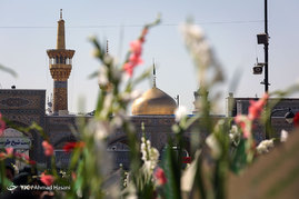 گلباران حرم امام رضا (ع) در روز تولد حضرت معصومه (س)
