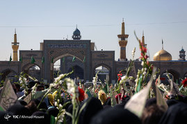 گلباران حرم امام رضا (ع) در روز تولد حضرت معصومه (س)