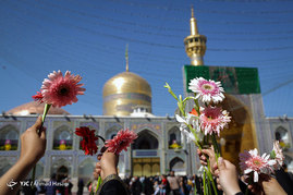 گلباران حرم امام رضا (ع) در روز تولد حضرت معصومه (س)