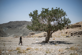 زندگی در روستاهای اطراف بیرجند