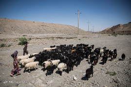 زندگی در روستاهای اطراف بیرجند