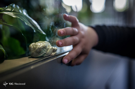 زندگی در باغ‌ وحش