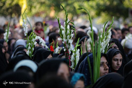 گلباران حرم مطهر رضوی در شب میلاد امام رضا (ع)