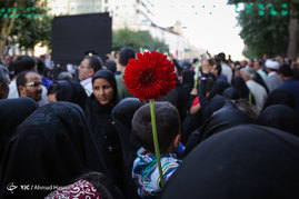 گلباران حرم مطهر رضوی در شب میلاد امام رضا (ع)