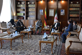 دیدار ظریف با وزیر امور خارجه زیمباوه