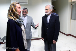 دیدارهای امروز فدریکا موگرینی مسئول سیاست خارجی اتحادیه اروپا با کمال خرازی رییس شورای راهبردی روابط خارجی و علی اکبر ولایتی رییس مرکز تحقیقات استراتژیک مجمع تشخیص مصلحت نظام