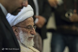 دیدار رئیس مجلس خبرگان رهبری با رئیس مجلس سنای پاکستان