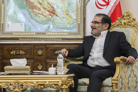 دیدار نخست وزیر سوریه با شمخانی