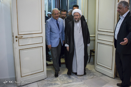 دیدار رئیس قوه قضائیه با رئیس مجلس سنای پاکستان