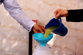 فصل آبغوره گیری در شیراز