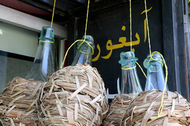 فصل آبغوره گیری در شیراز