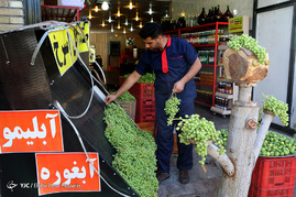 فصل آبغوره گیری در شیراز