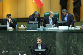 صحن علنی خانه ی ملت