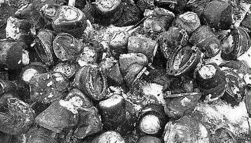سُم تعدادی از اسب های ارتش پیاده نظام آلمان که طی نبرد استالینگراد در روسیه توسط سربازان گرسنه و قحطی زده ی آلمانی خورده شدند, جنگ جهانی دوم