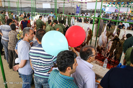 خرید و فروش دام در روز عید قربان
