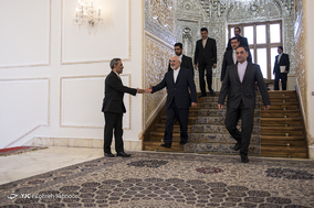 دیدار رئیس مجلس نمایندگان آفریقای جنوبی با ظریف