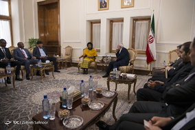 دیدار رئیس مجلس نمایندگان آفریقای جنوبی با ظریف