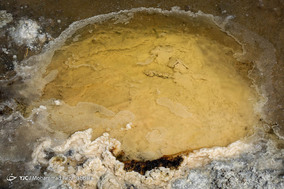 تالاب بهشت معصومه منطقه ای دشتی و در بخش هایی تپه ماهوری و البته نفت خیز است که آثار نفت در گودال های بزرگ در این منطقه و در حاشیه تالاب دیده می شود 