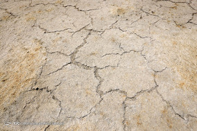مرگ تالاب بهشت معصومه قم