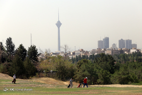 مسابقات گلف قهرمانی کشور