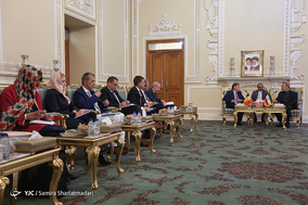 دیدار لاریجانی با ریس مجلس بلژیک