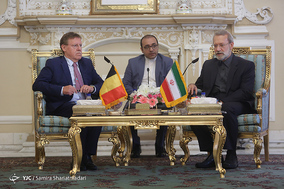 دیدار لاریجانی با ریس مجلس بلژیک