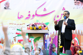 جشن شکوفه ها