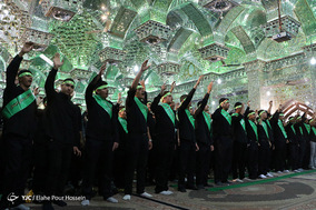 همایش بزرگ «احلی من العسل» حرم مطهر حضرت سیدعلاءالدین حسین (ع)-شیراز