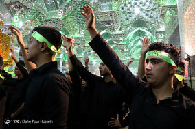 همایش بزرگ «احلی من العسل» حرم مطهر حضرت سیدعلاءالدین حسین (ع)-شیراز