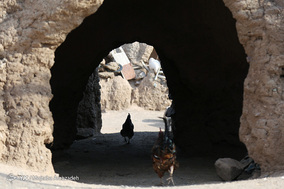 اردوی جهادگران حسینی،فرزندان خمینی در روستای محروم زرندیه
