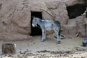 اردوی جهادگران حسینی،فرزندان خمینی در روستای محروم زرندیه