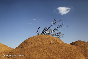 اردوی جهادگران حسینی،فرزندان خمینی در روستای محروم زرندیه