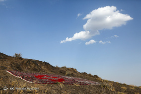 اردوی جهادگران حسینی،فرزندان خمینی در روستای محروم زرندیه