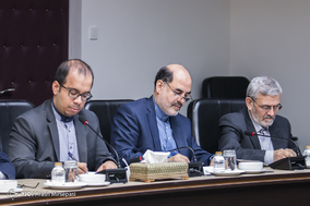 دیدار رییس کمیسیون خارجی هلند با علی اکبر ولایتی