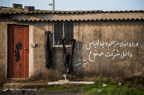 صید پره در دریای مازندران