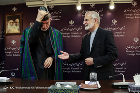 دیدار رئیس شورای راهبردی روابط خارجی با حامد کرزای