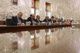 دیدار نخست وزیر عراق با رییس مجلس شورای اسلامی
