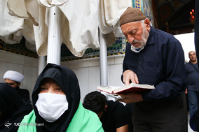 زائران اربعین حسینی در نجف اشرف
