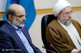 دیدار آیت الله اراکی دبیرکل مجمع جهانی تقریب مذاهب با رئیس رسانه ملی