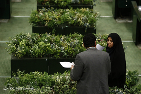 صحن علنی مجلس شورای اسلامی