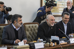 دیدار وزیر امور خارجه انگلیس با رییس سازمان انرژی اتمی