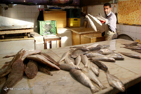 بازار ماهی فروشان آبادان