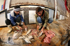 بازار ماهی فروشان آبادان