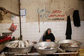 بازار ماهی فروشان آبادان